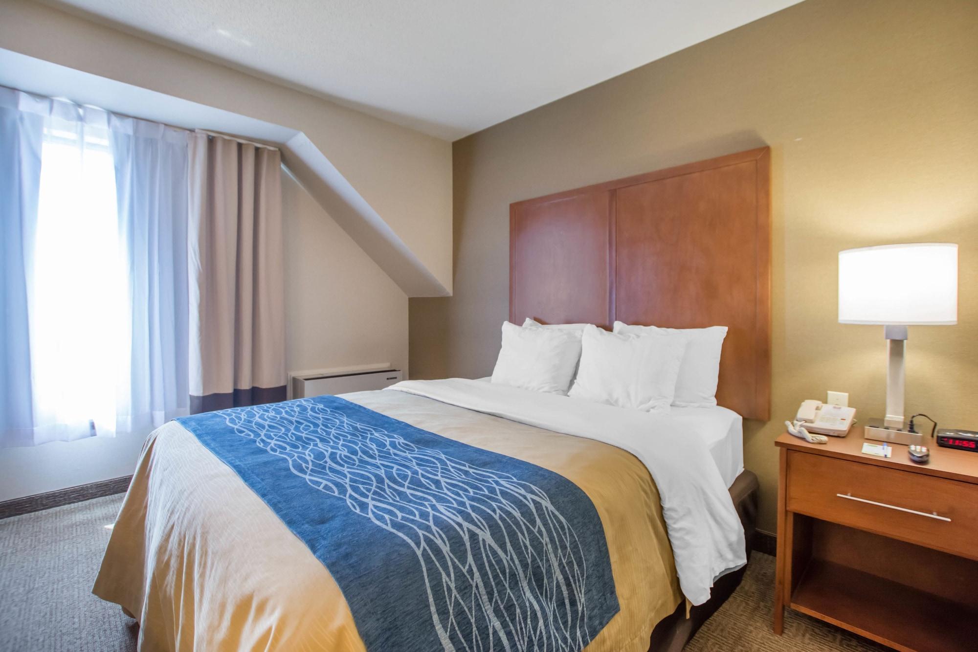 בת'רסט Comfort Inn מראה חיצוני תמונה